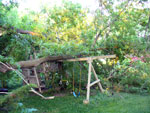 Storm Damage